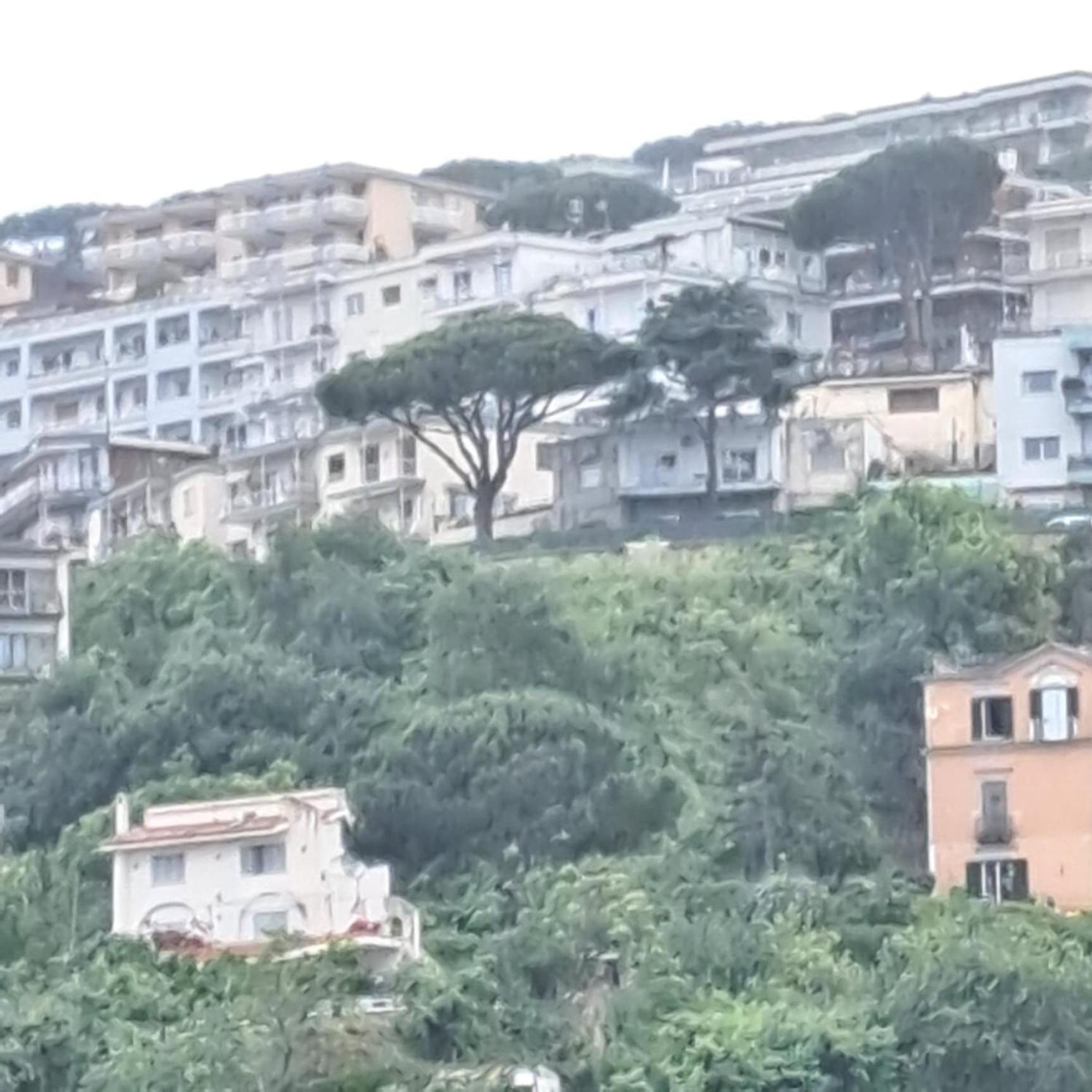 Domus Sirena Hotel Napoli Bagian luar foto